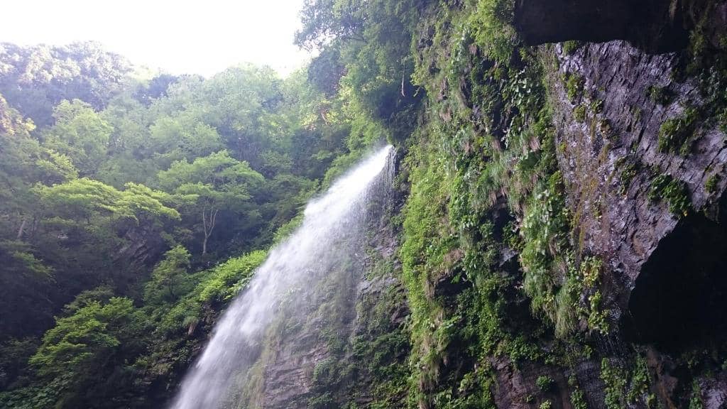 Nagashi-Somen Experience