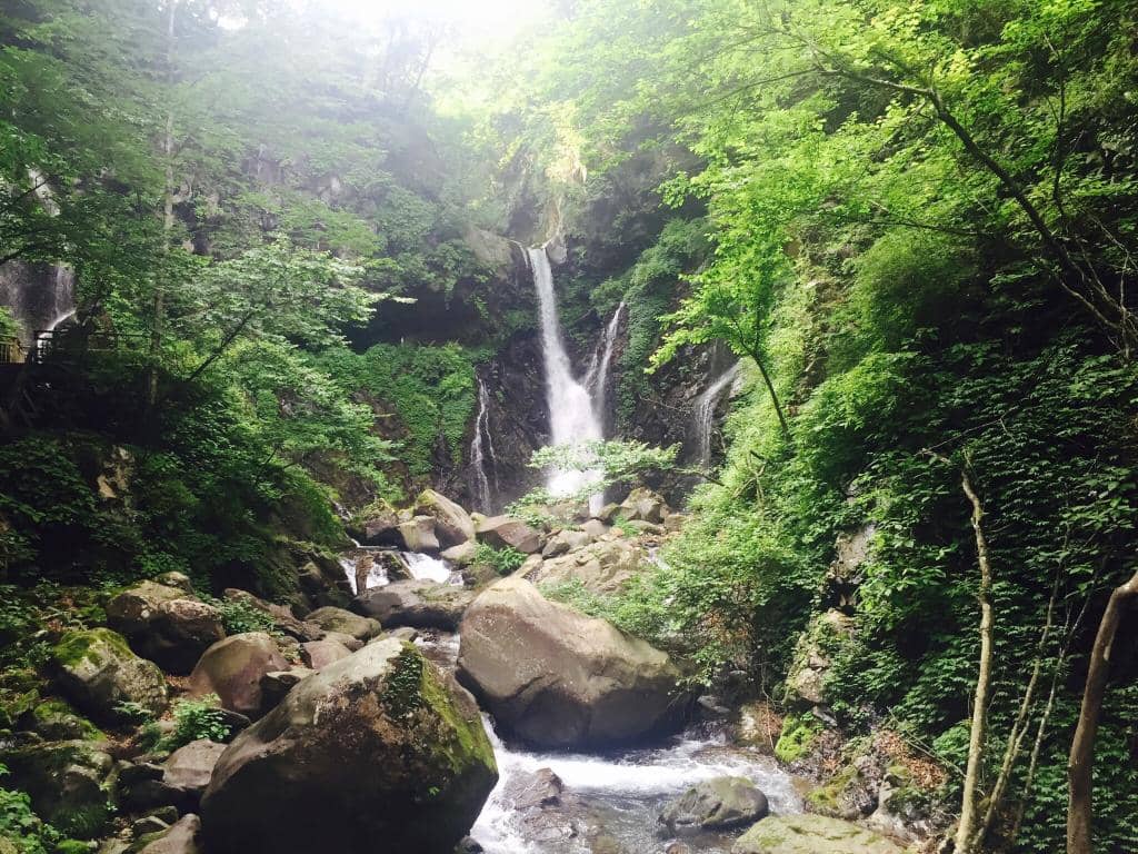 Vertical photo