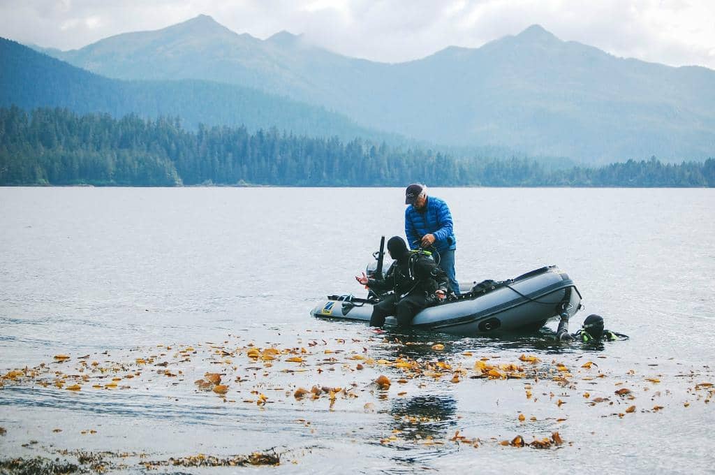 Interactive Touch Tanks