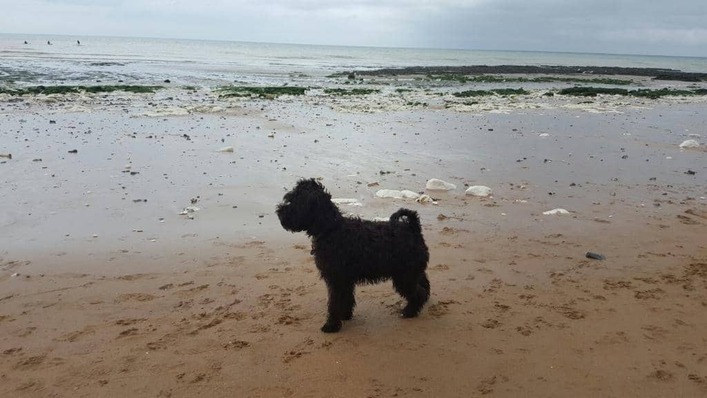 Rocky Exploration