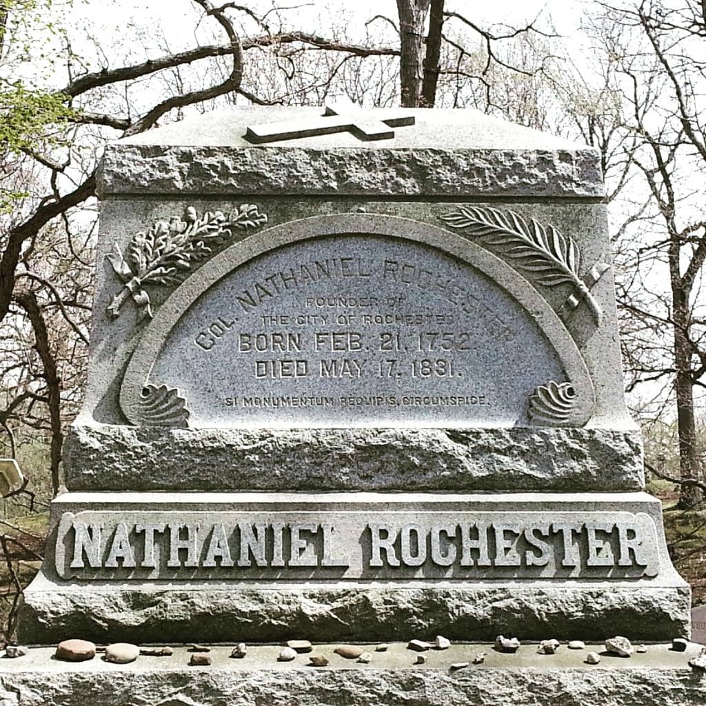 The Daffodil Project