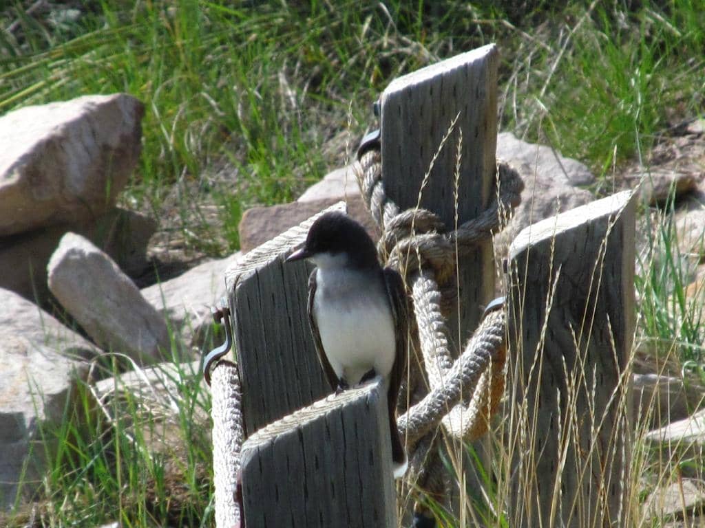 Missouri River Trails