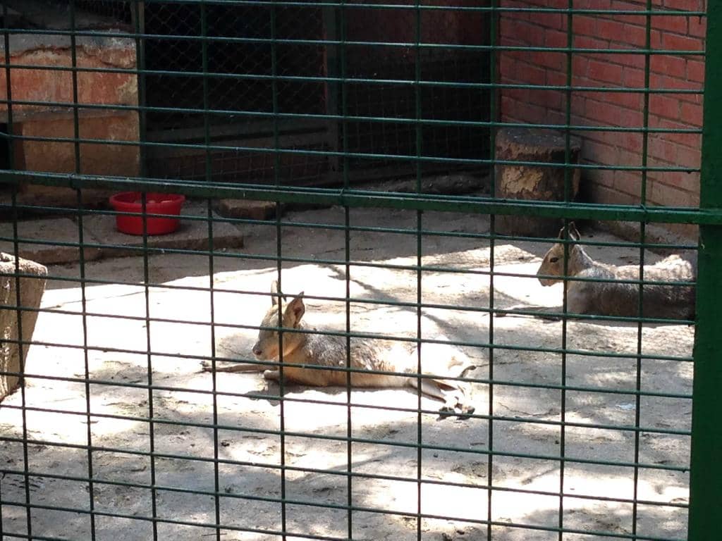 Aquarium & Terrarium