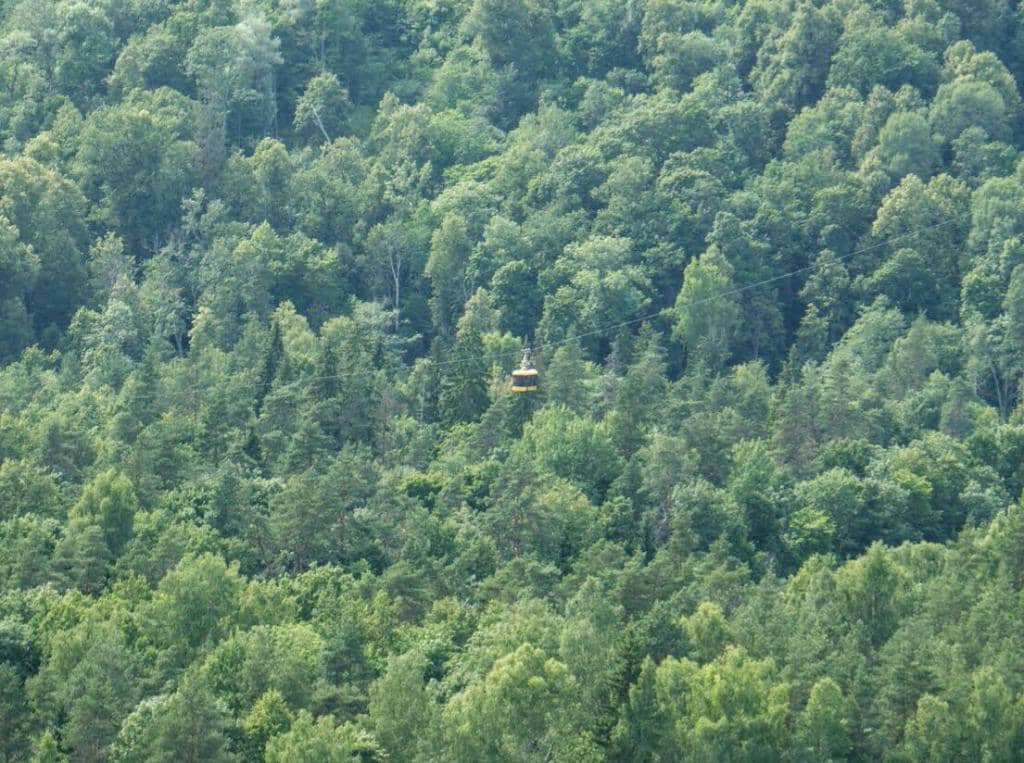 Vertical photo