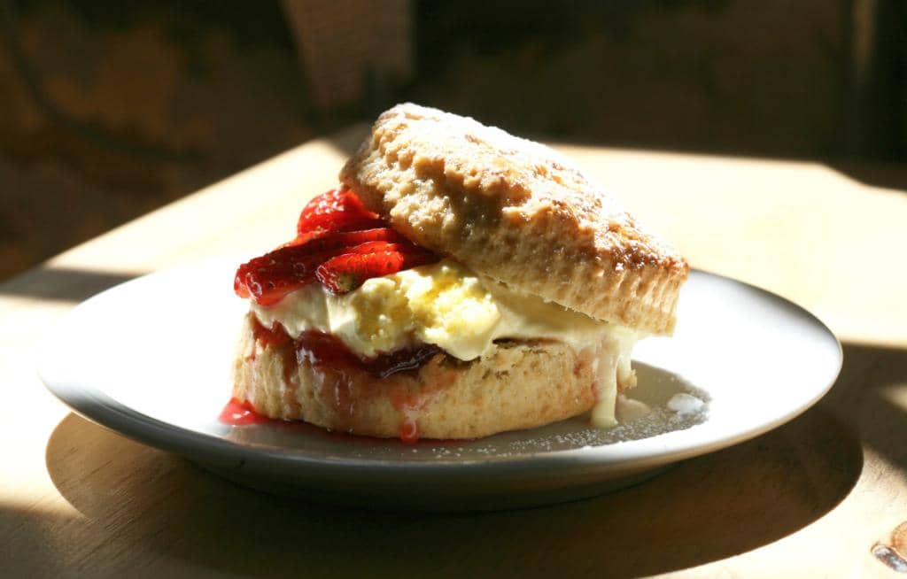 Eclectic Small Plates