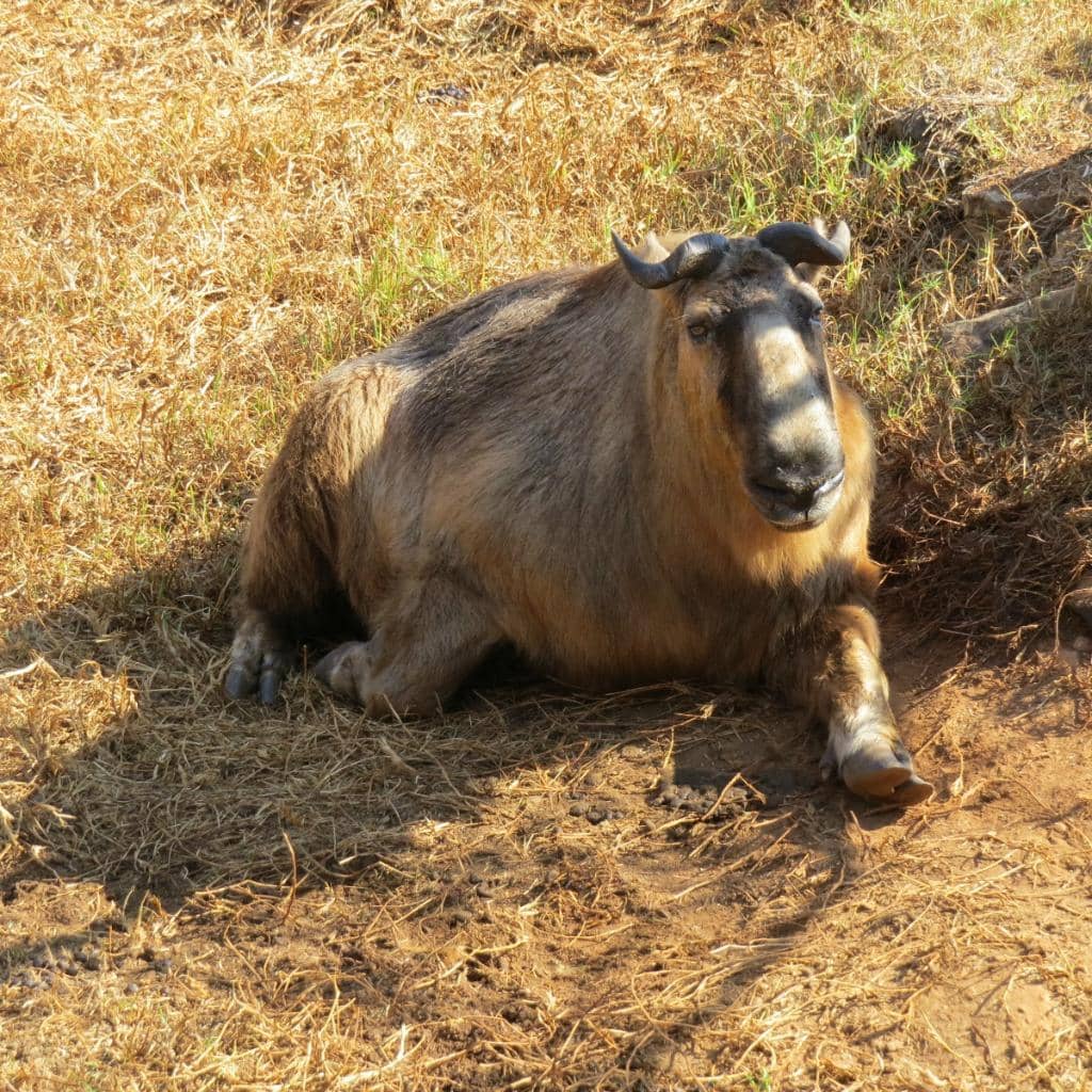 Reptile Park Encounters
