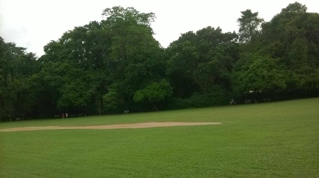 Serene Lake & Swan Boats