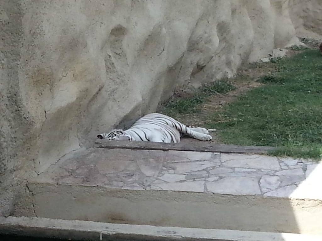 Family Fun Activities