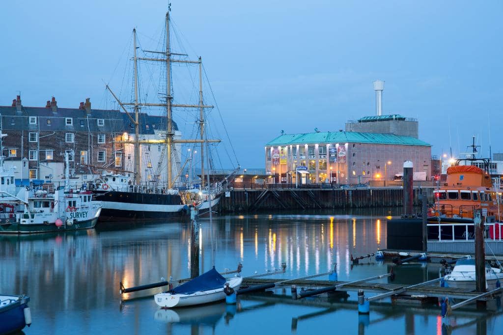 Live Music & Tribute Acts