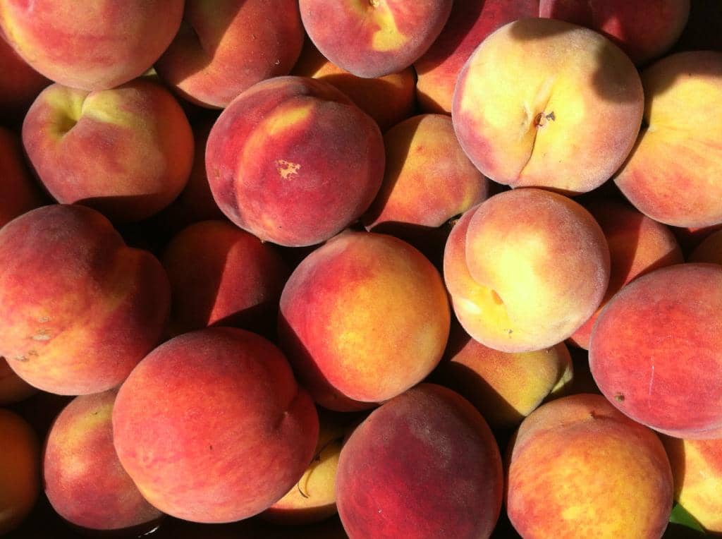 Community Atmosphere