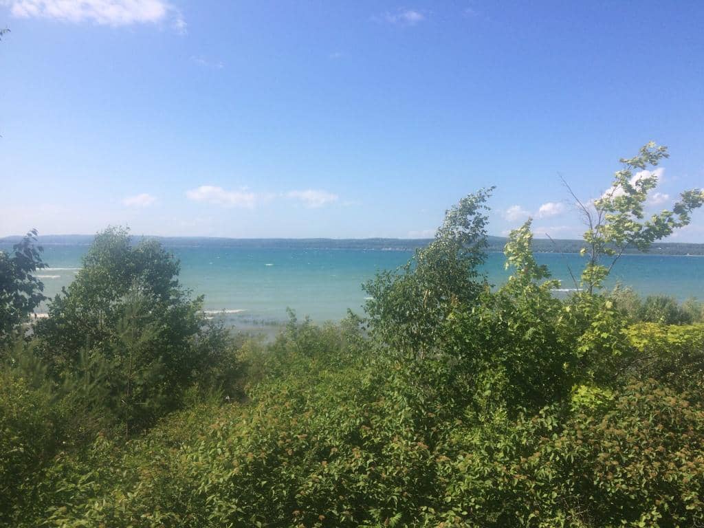 Petoskey Stone Discoveries