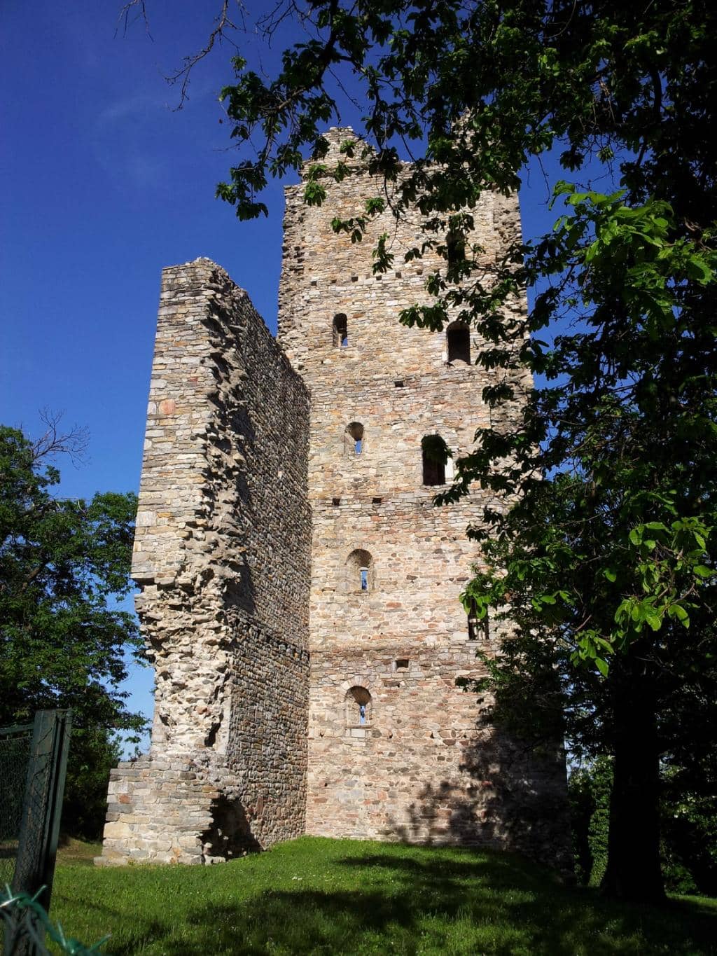Vertical photo