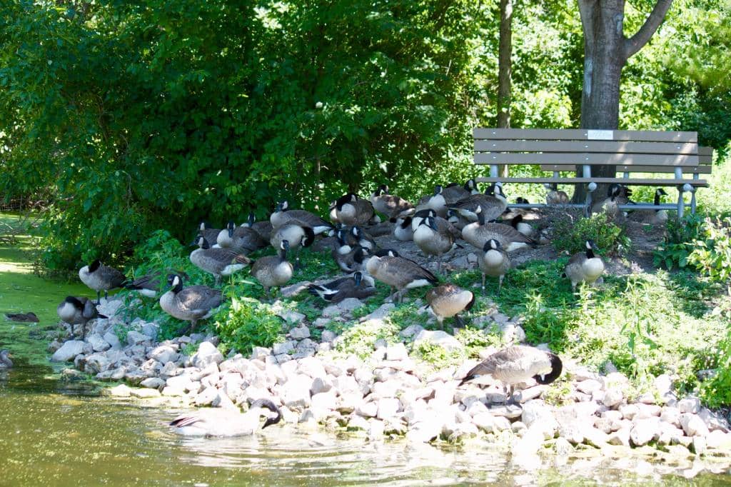 Marine Mammal Specialist Interaction