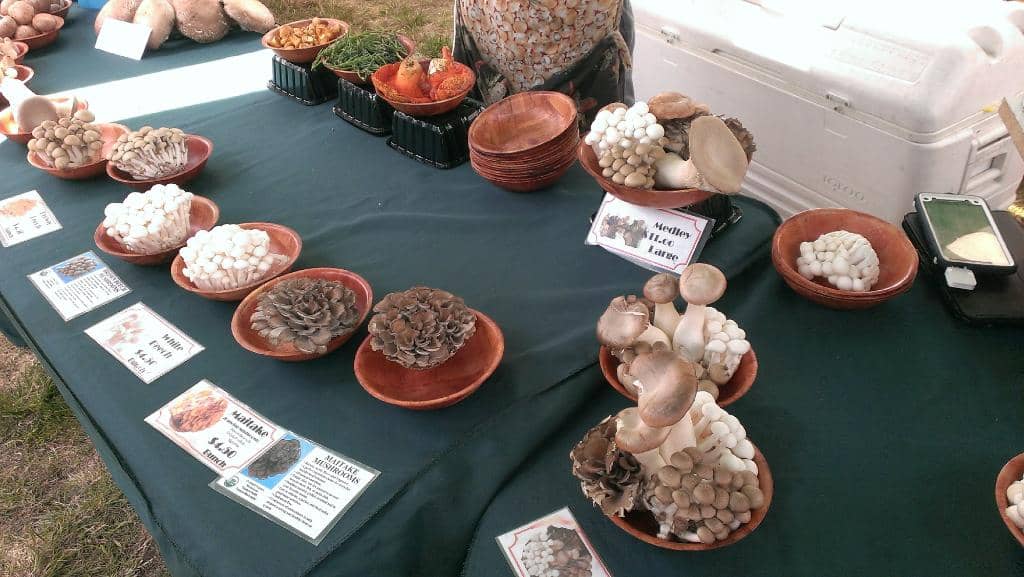 Gourmet Food Vendors