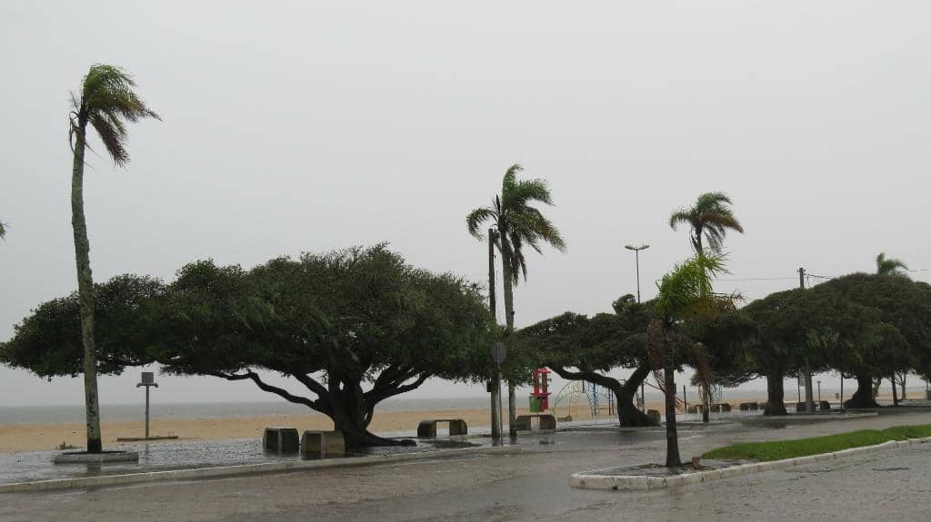 Natural Pools at Low Tide