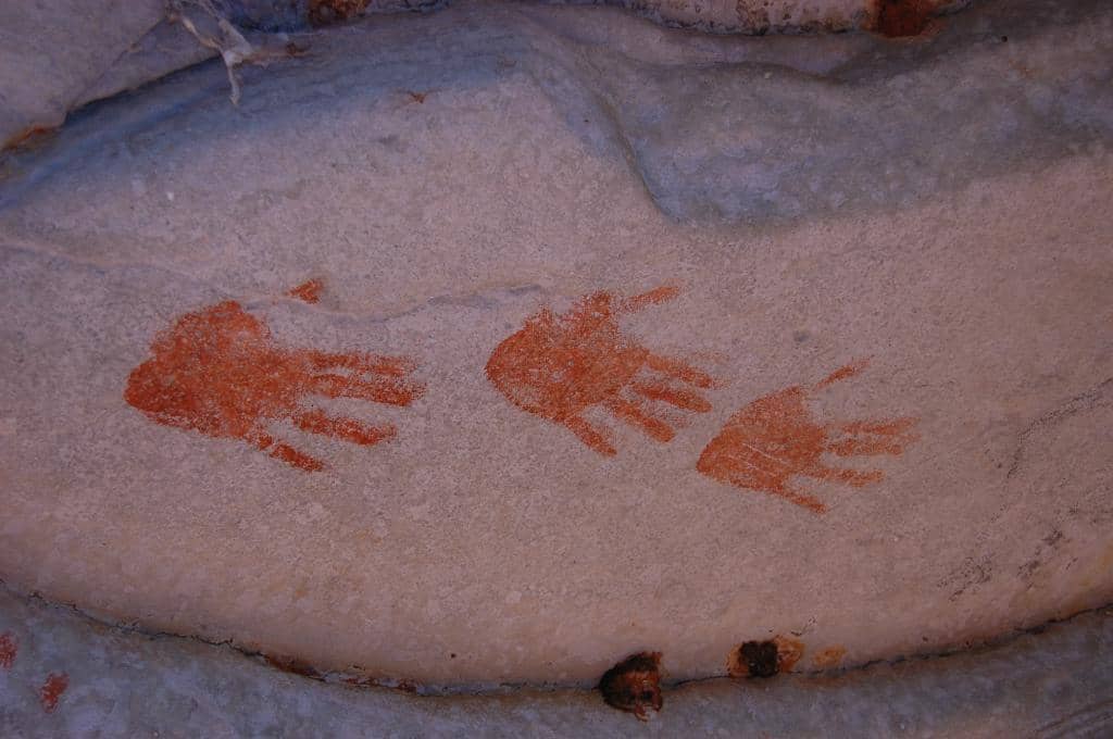 Optional Rappelling Adventure