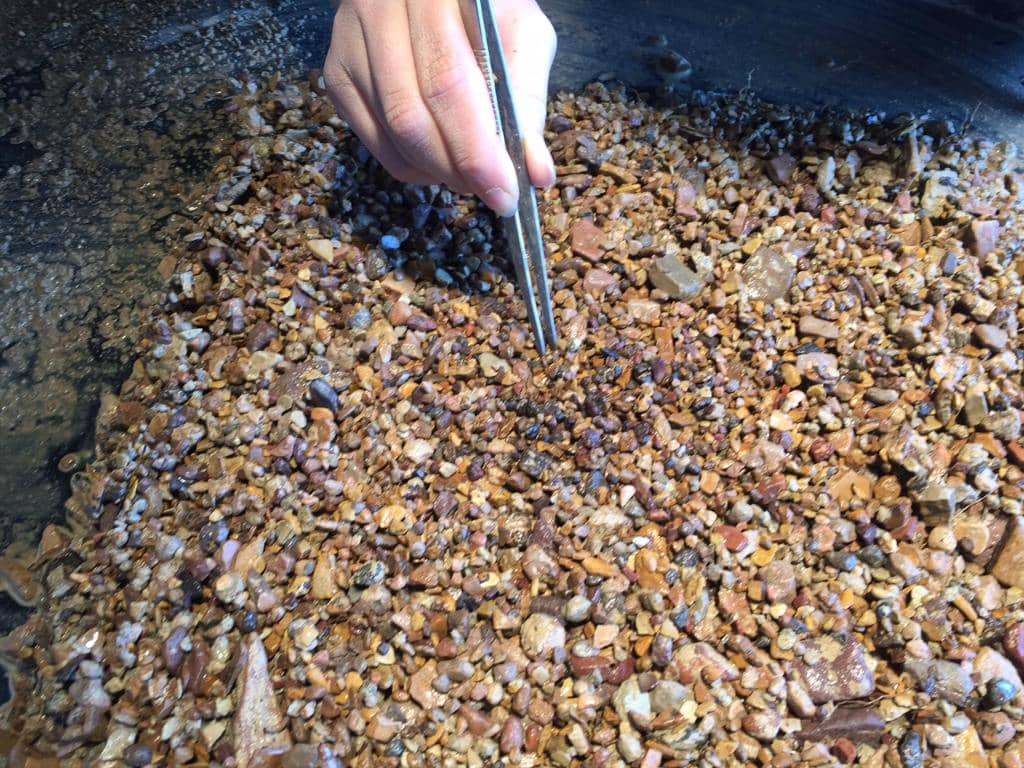 Expert Stone Assessment