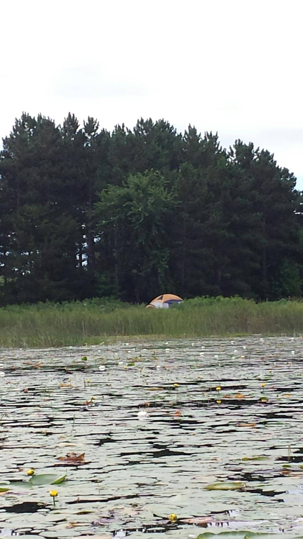 Hiking & Horseback Trails