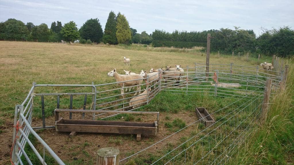 Adrian Bloom's Gardens