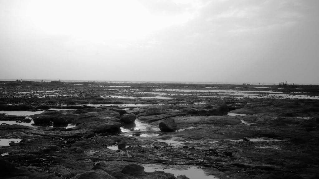 Waves Beach Club & Restro