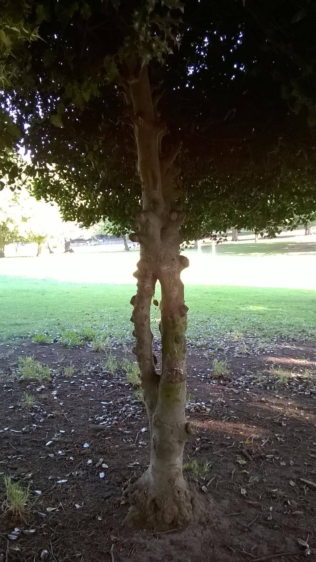 Modern Children's Playground