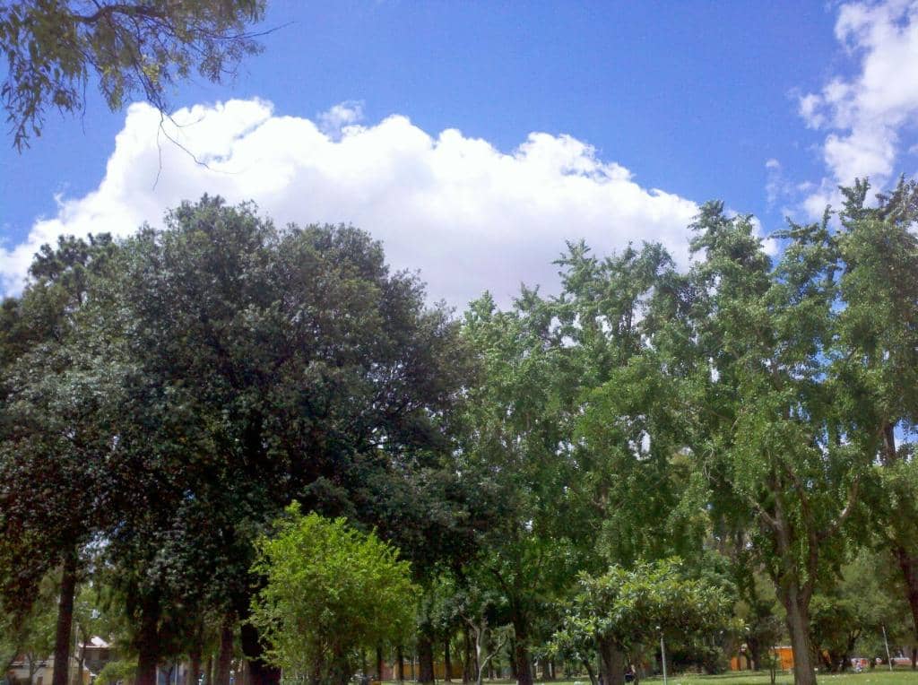 Vertical photo