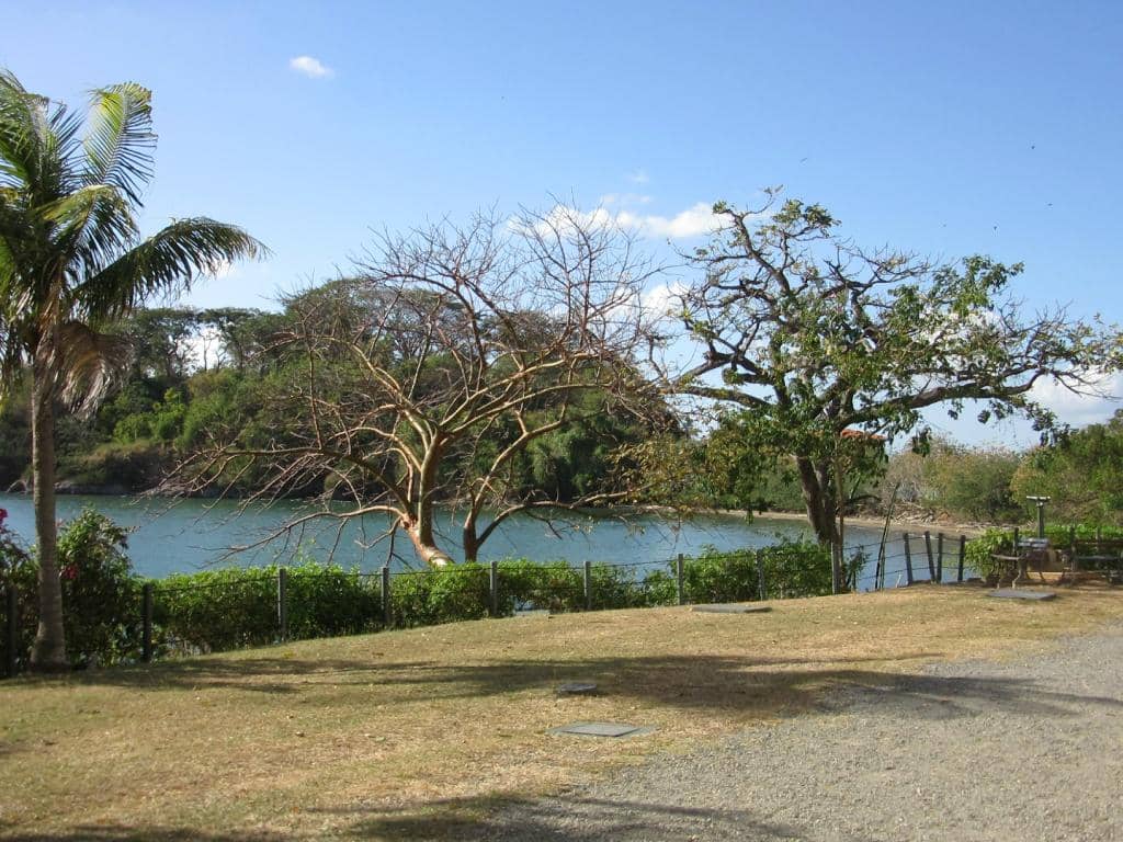 Vibrant Frog Exhibits