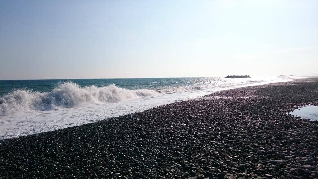 Loggerhead Turtle Nesting