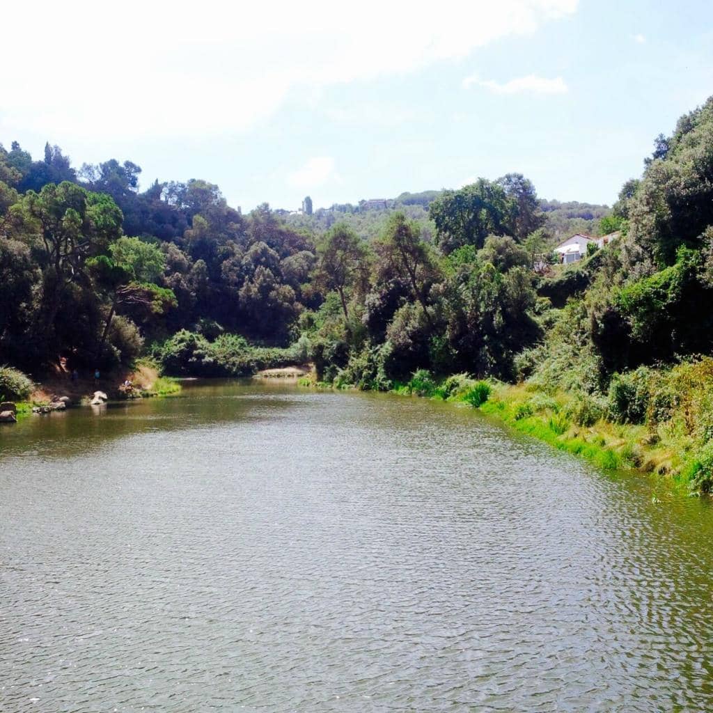 Collserola Natural Park Trails