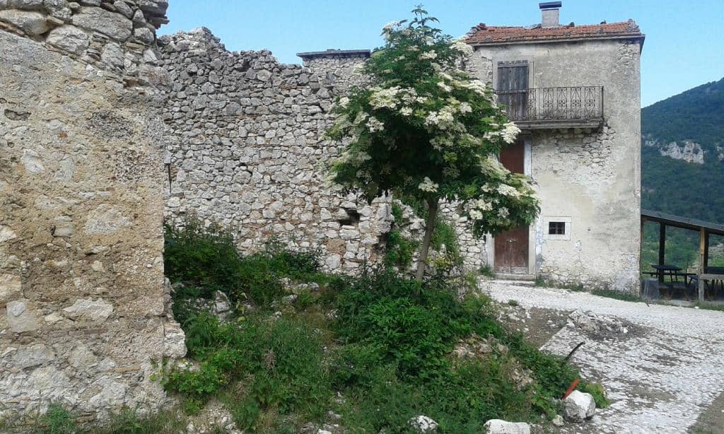 Mountain Hiking Trails