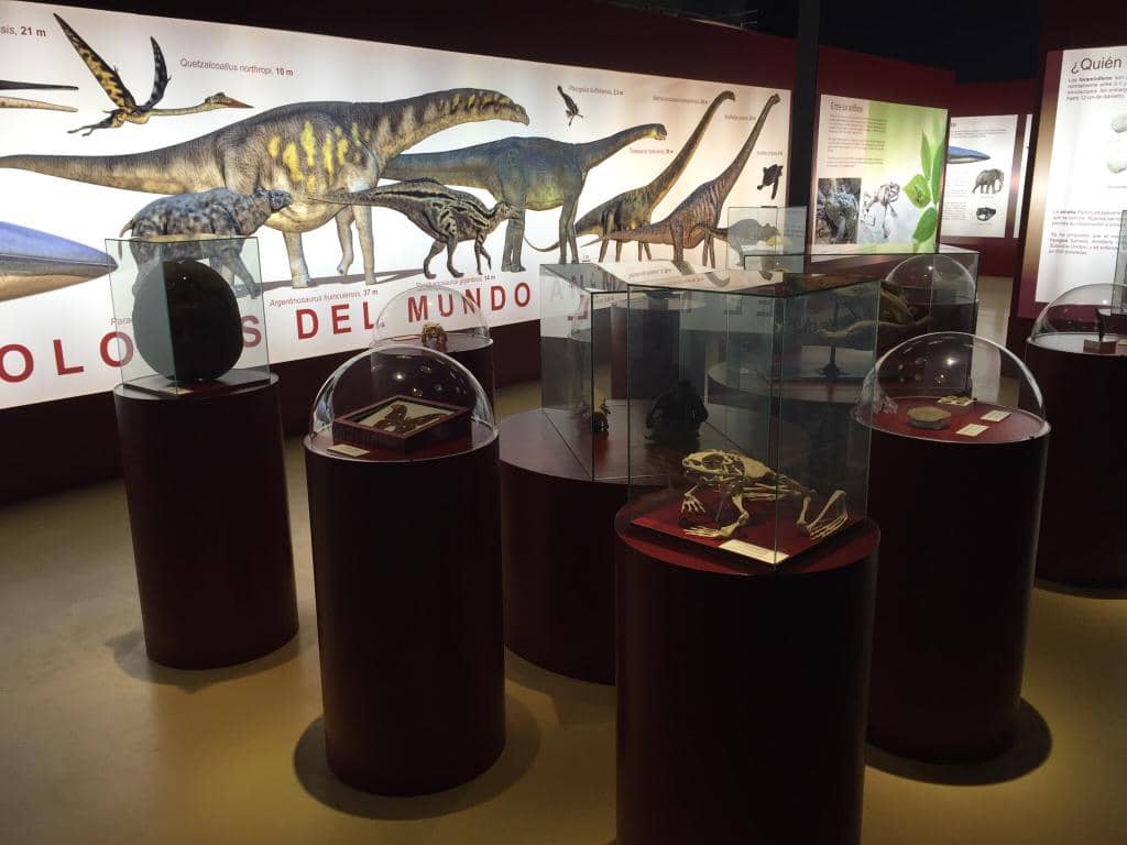 Educational & Fun Activities