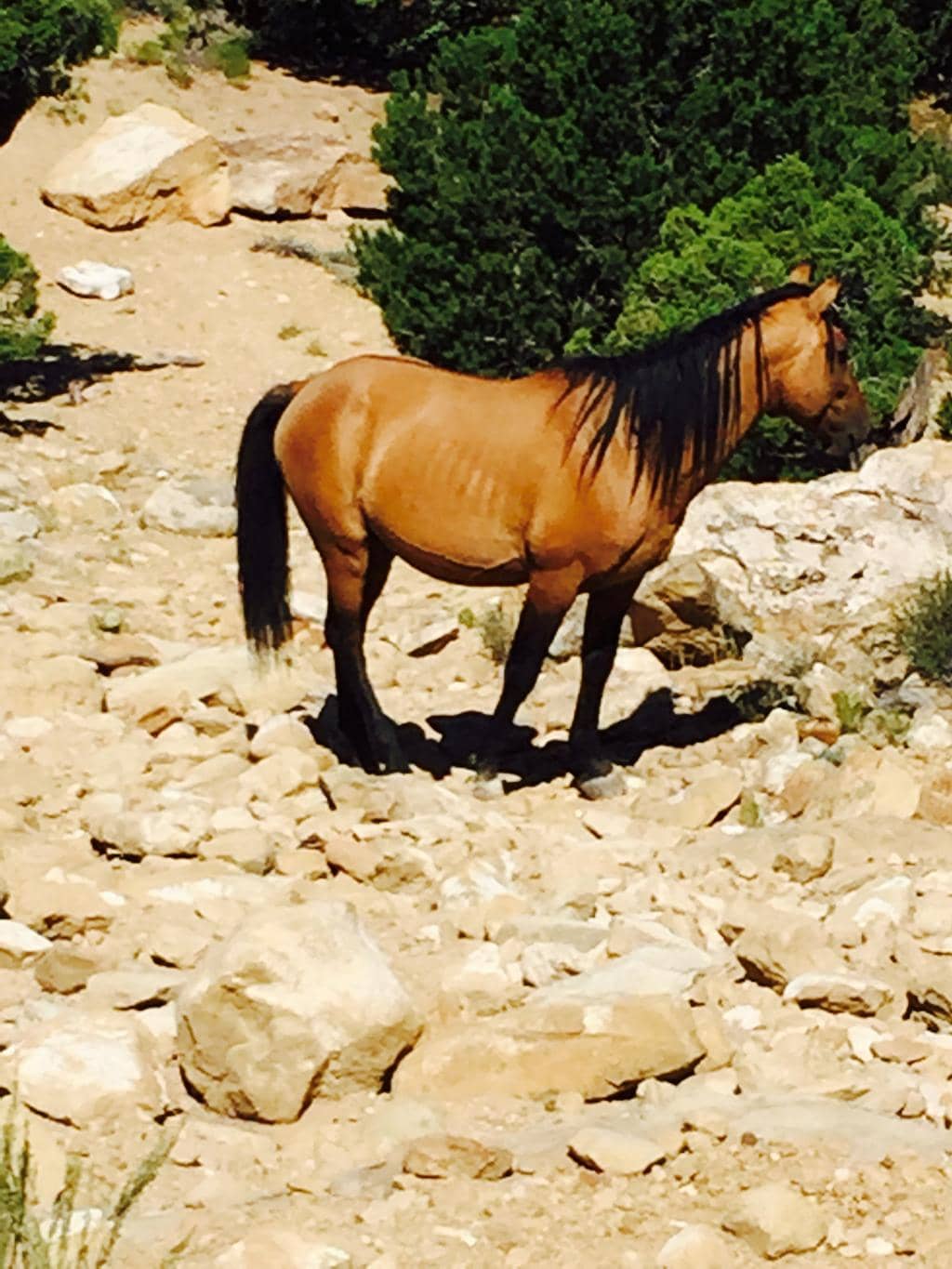 Stunning Desert Landscapes