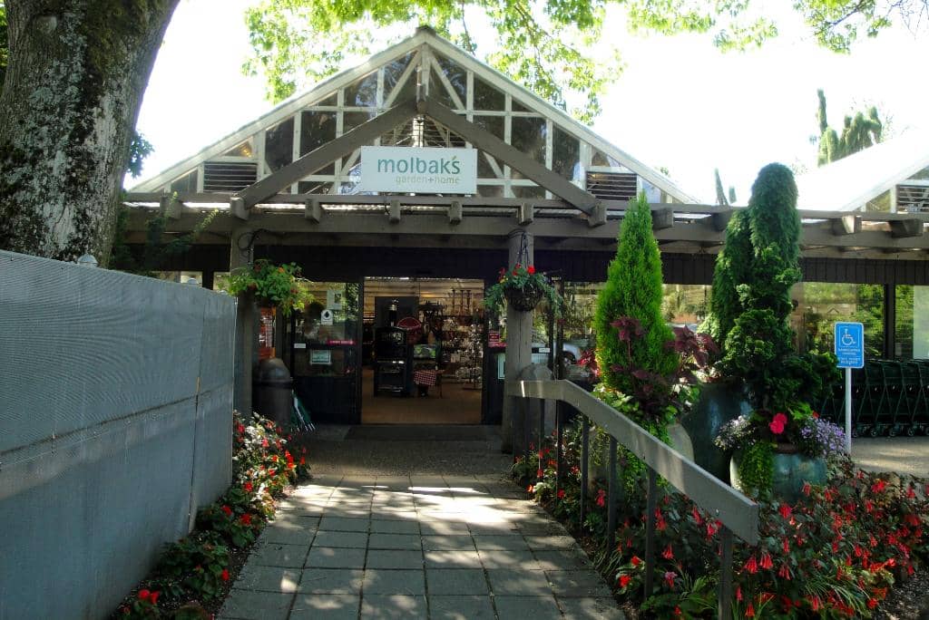 Lush Greenhouse Ambiance