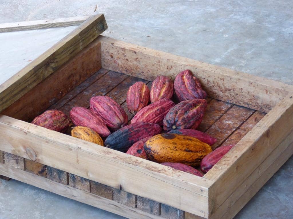 Unique Hydraulic Turbine