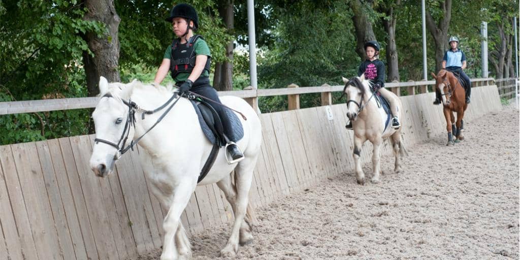 Adult Beginner Lessons