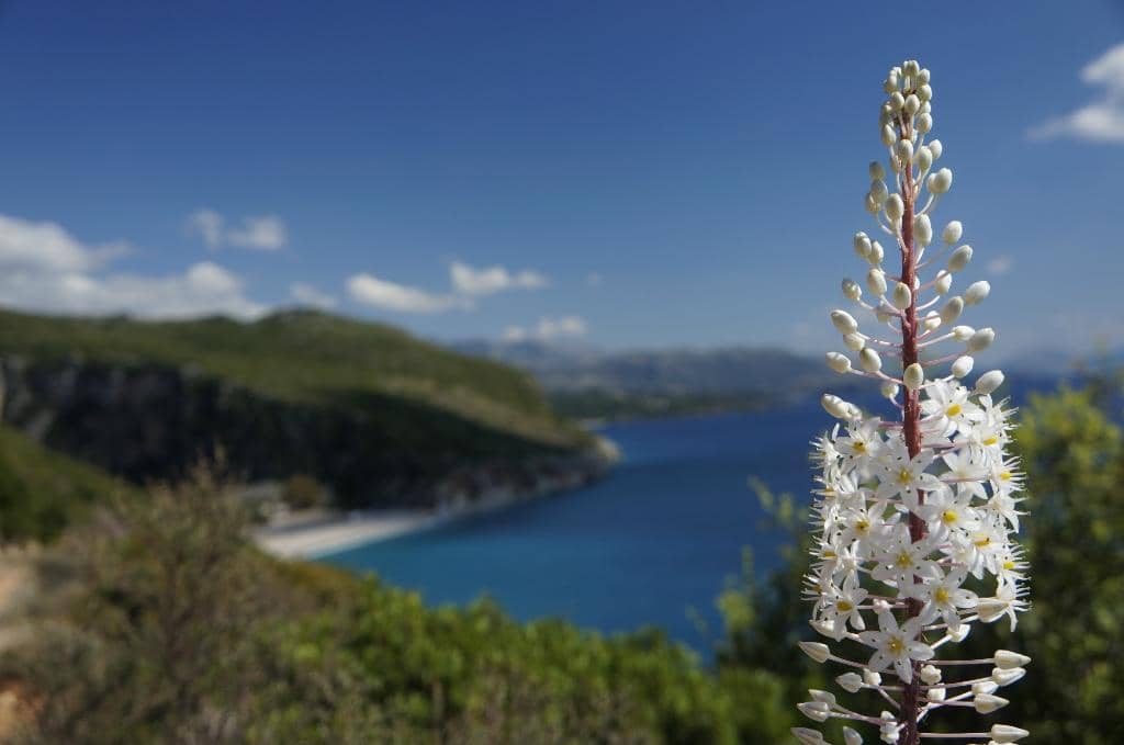 Third hero image