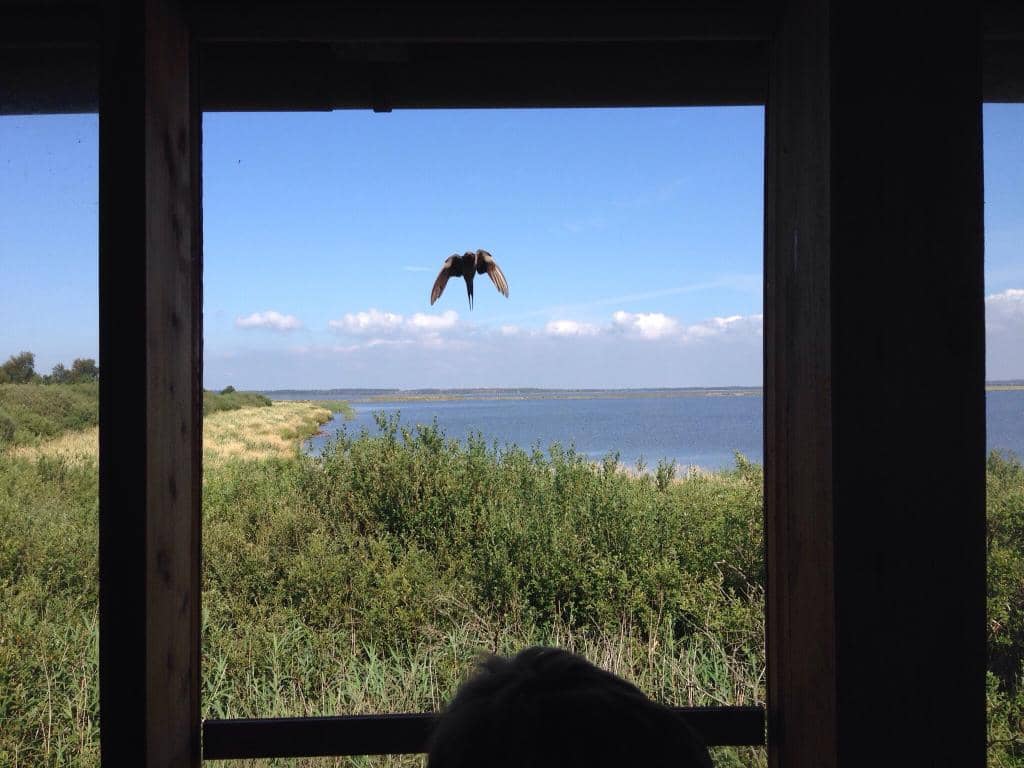 Vertical photo