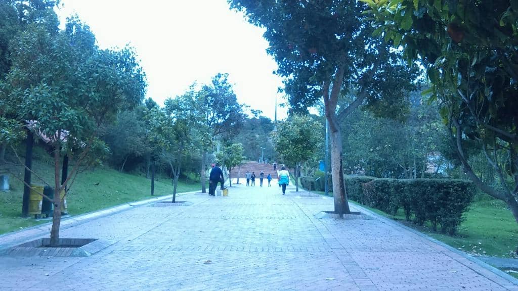 Panoramic City Views