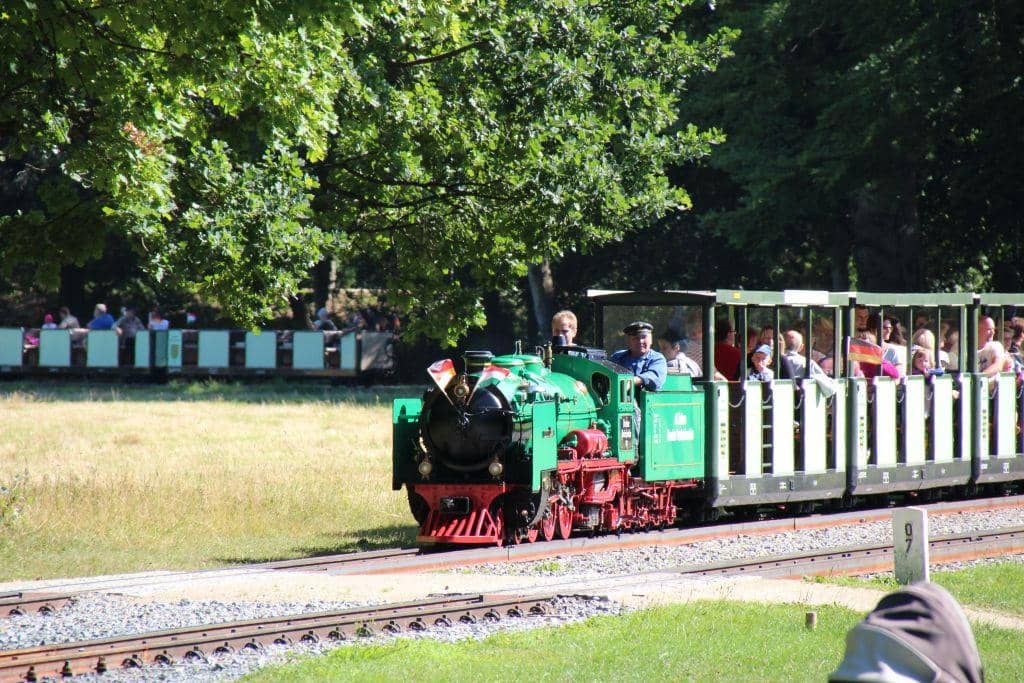 Young Volunteer Crew