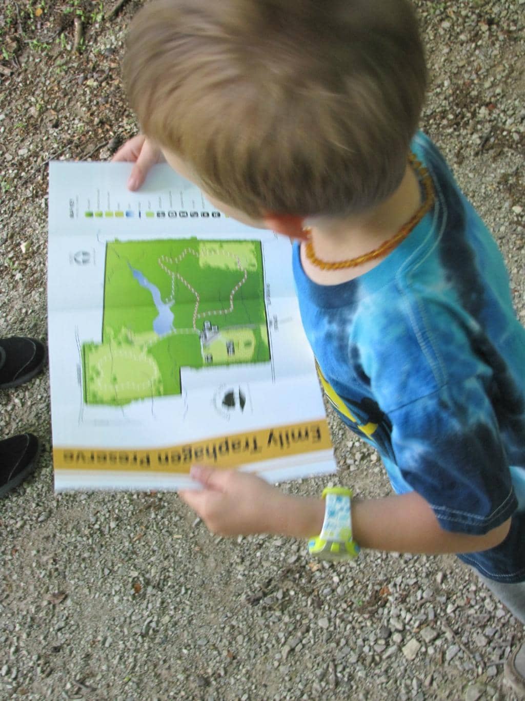 Wetlands and Woods Trail