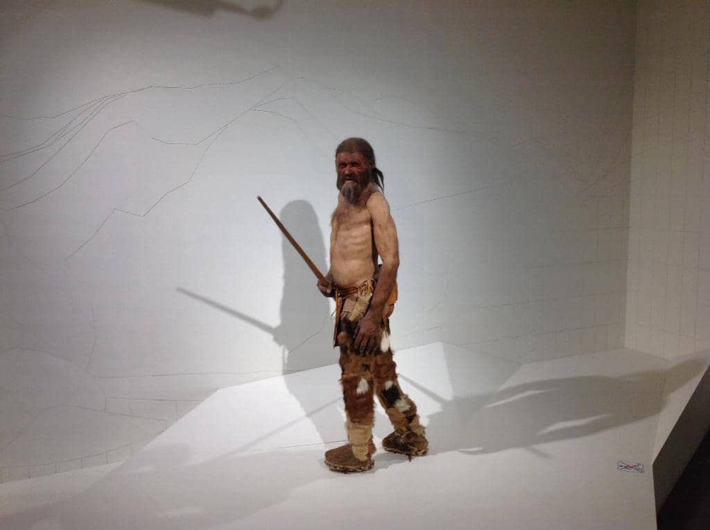 Neolithic Tools and Clothing