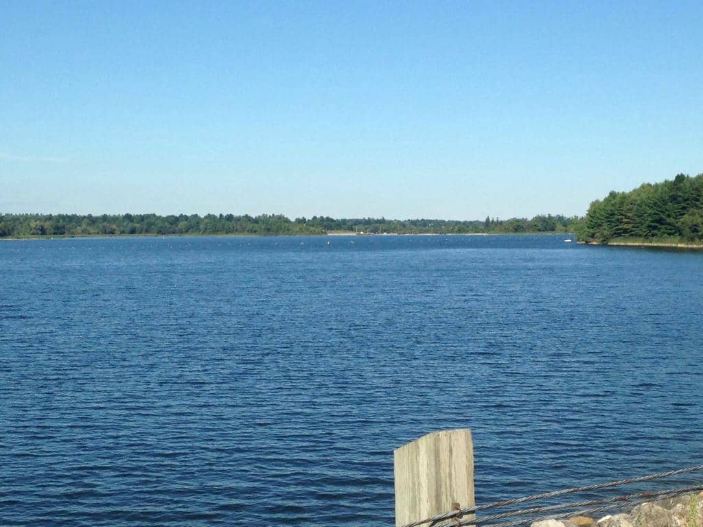 Wooded Hiking Trails