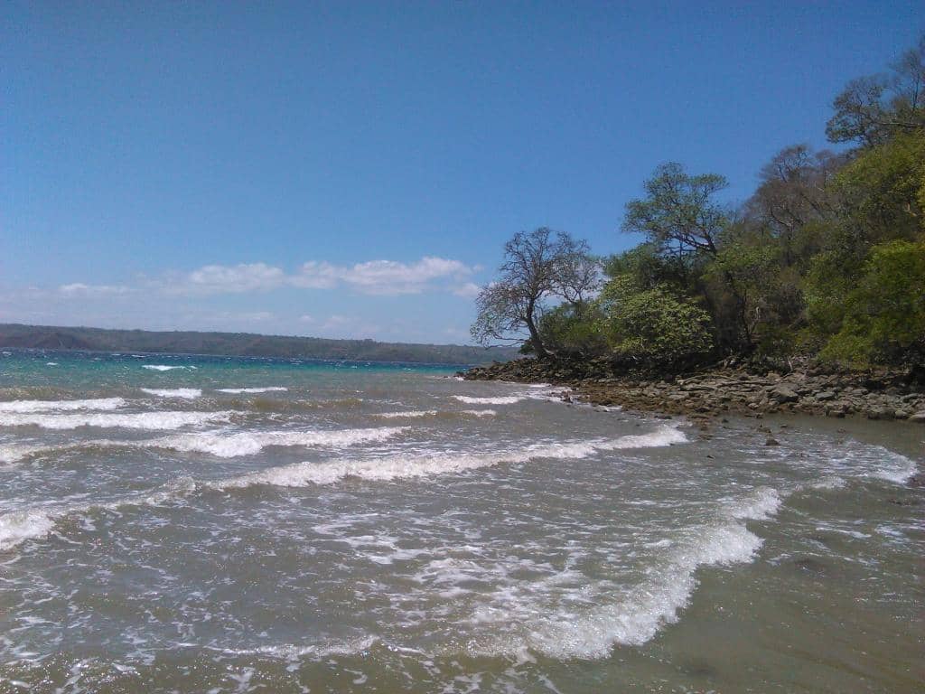 Abundant Shells & Wildlife