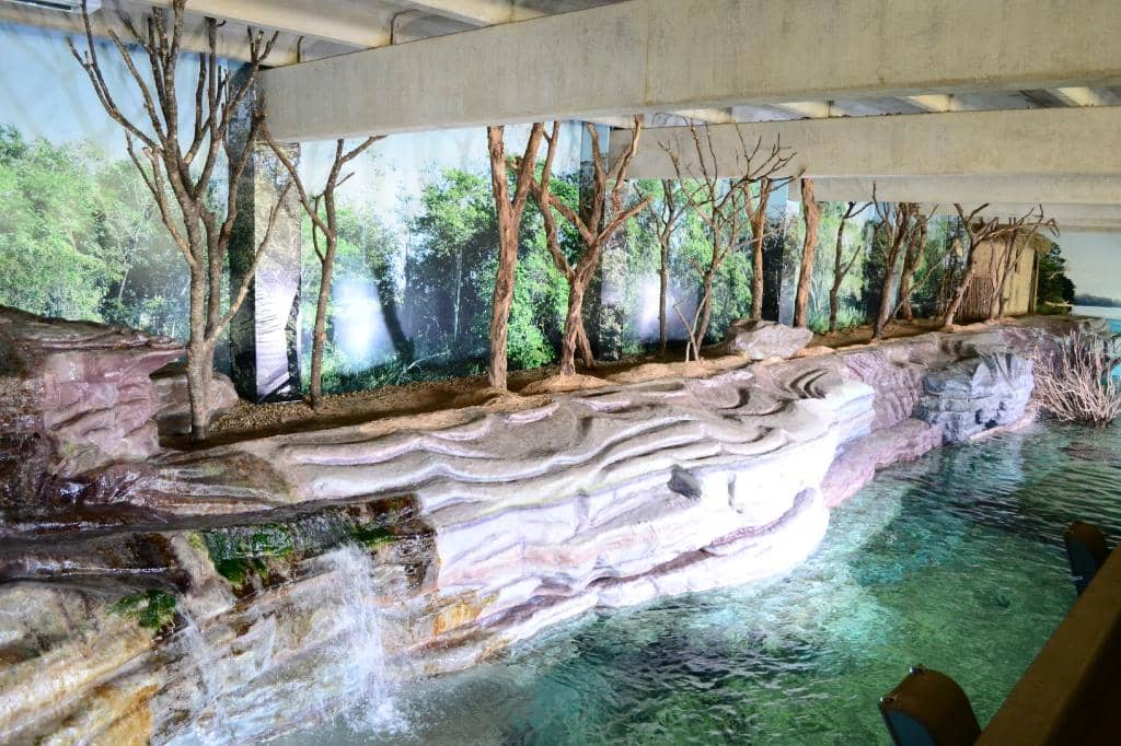 Japanese Water Gardens