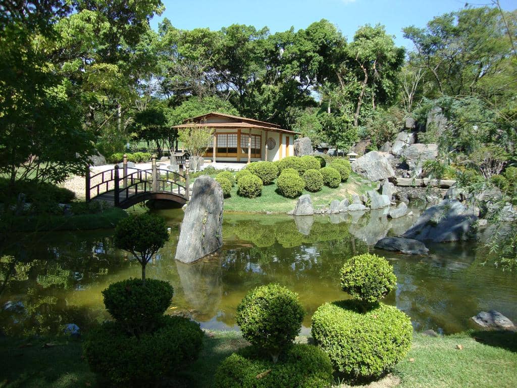 Majestic Lions
