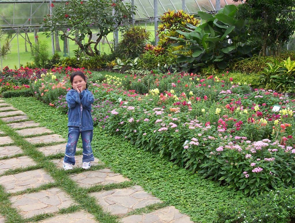 Serene Green Spaces
