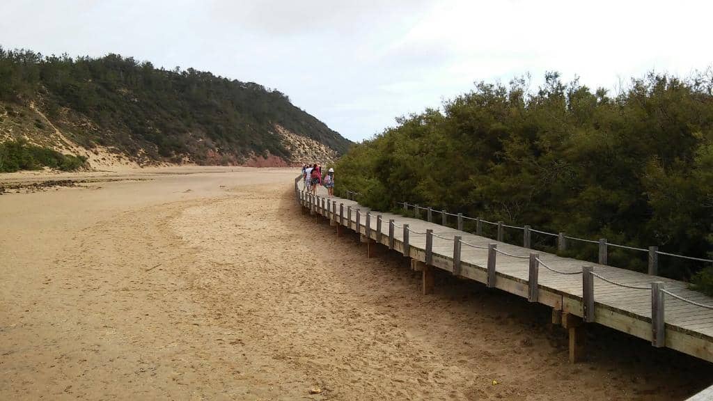 Vertical photo