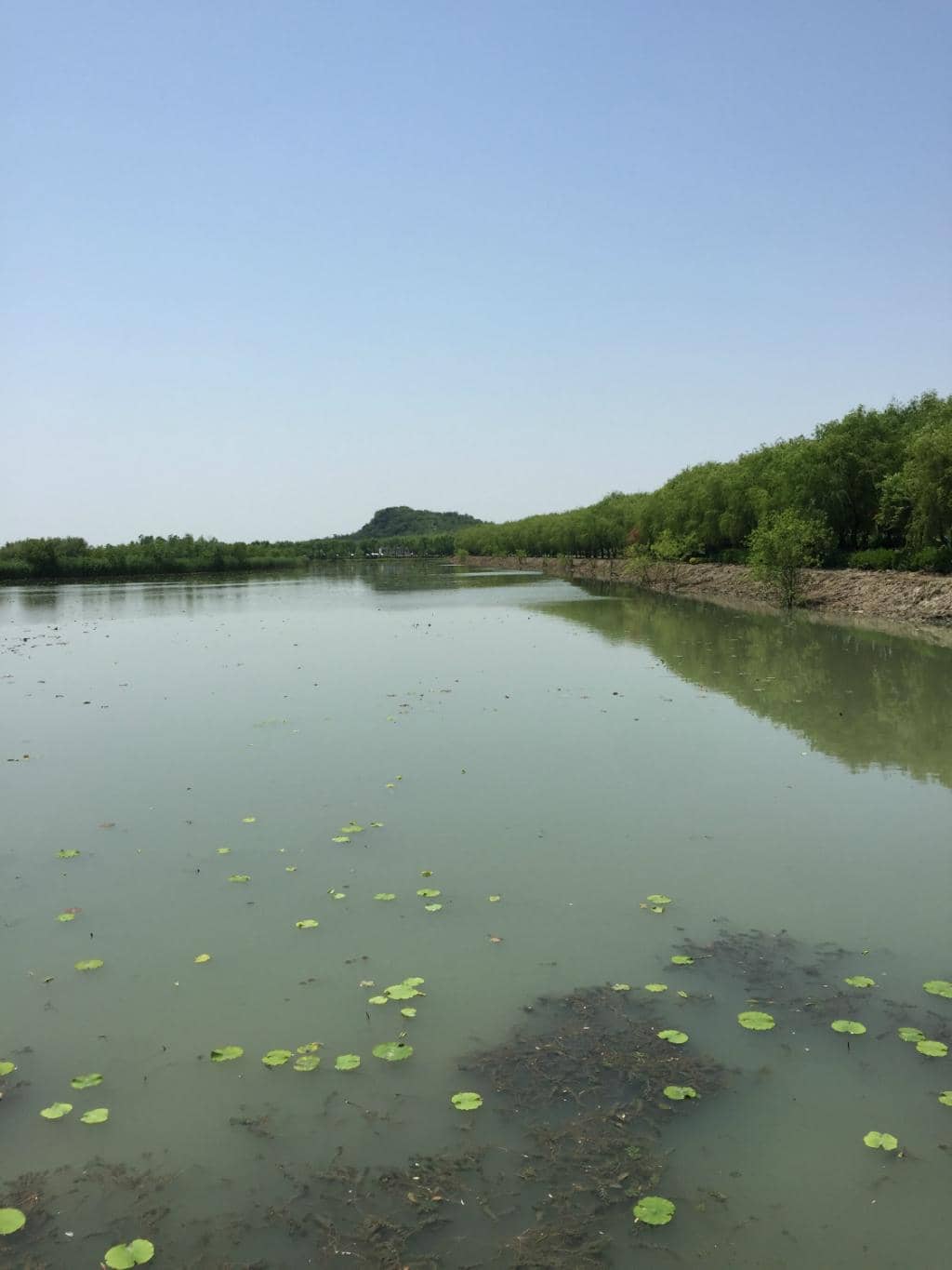 Local Flora and Fauna