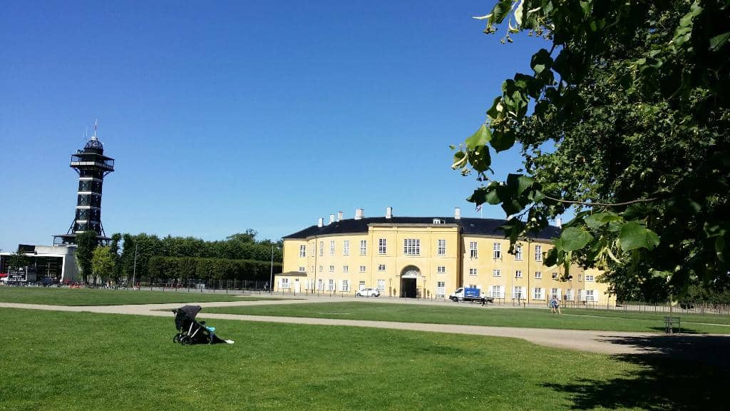 Ancient Tree-Lined Paths