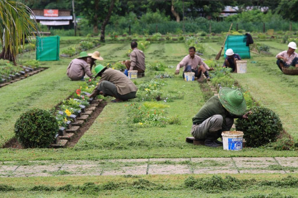 Rows of Commonwealth Graves